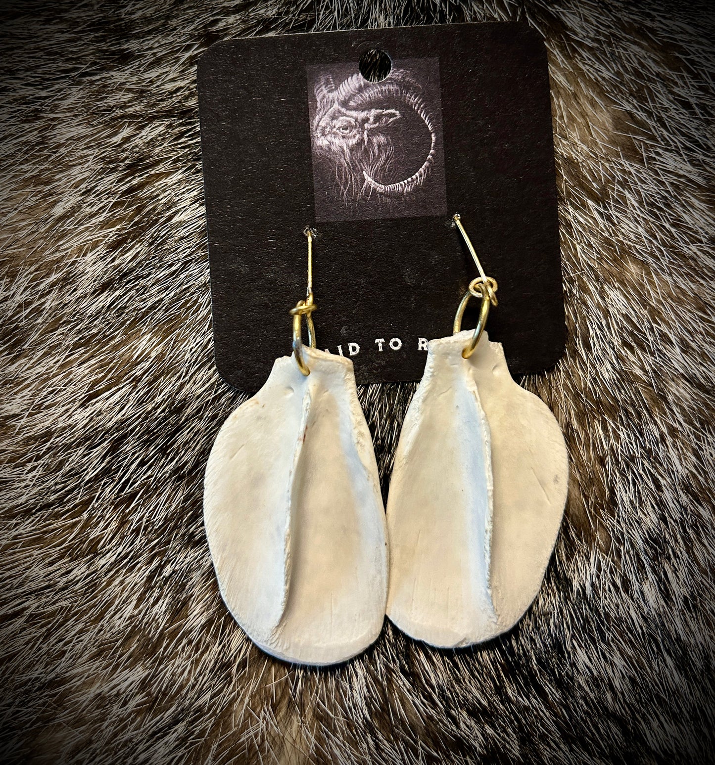 Possum Scapula Earrings