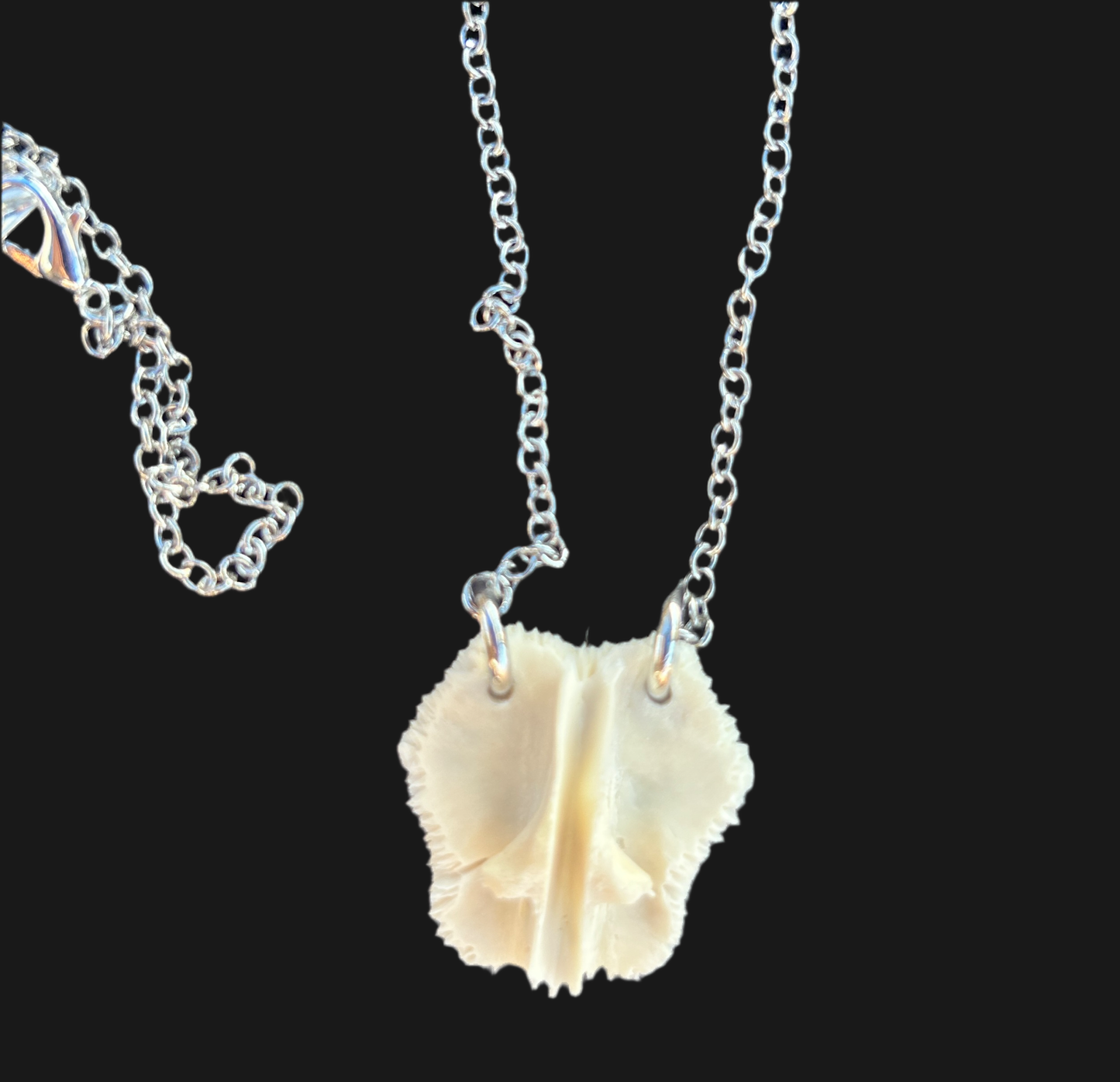 Turtle Shell Pendant