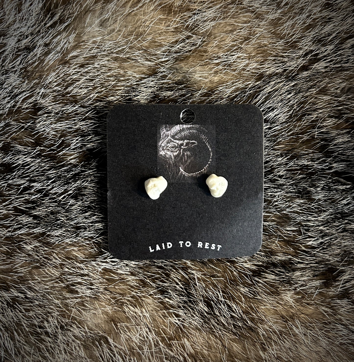 Fox Bone Studs