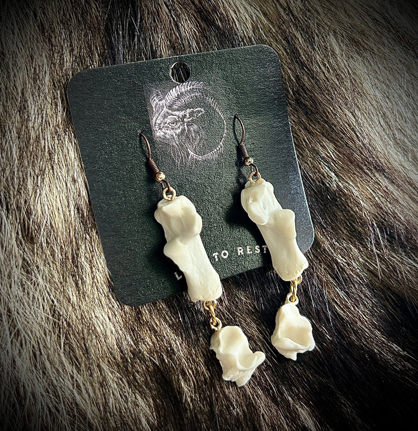 Raccoon Heel Bones
