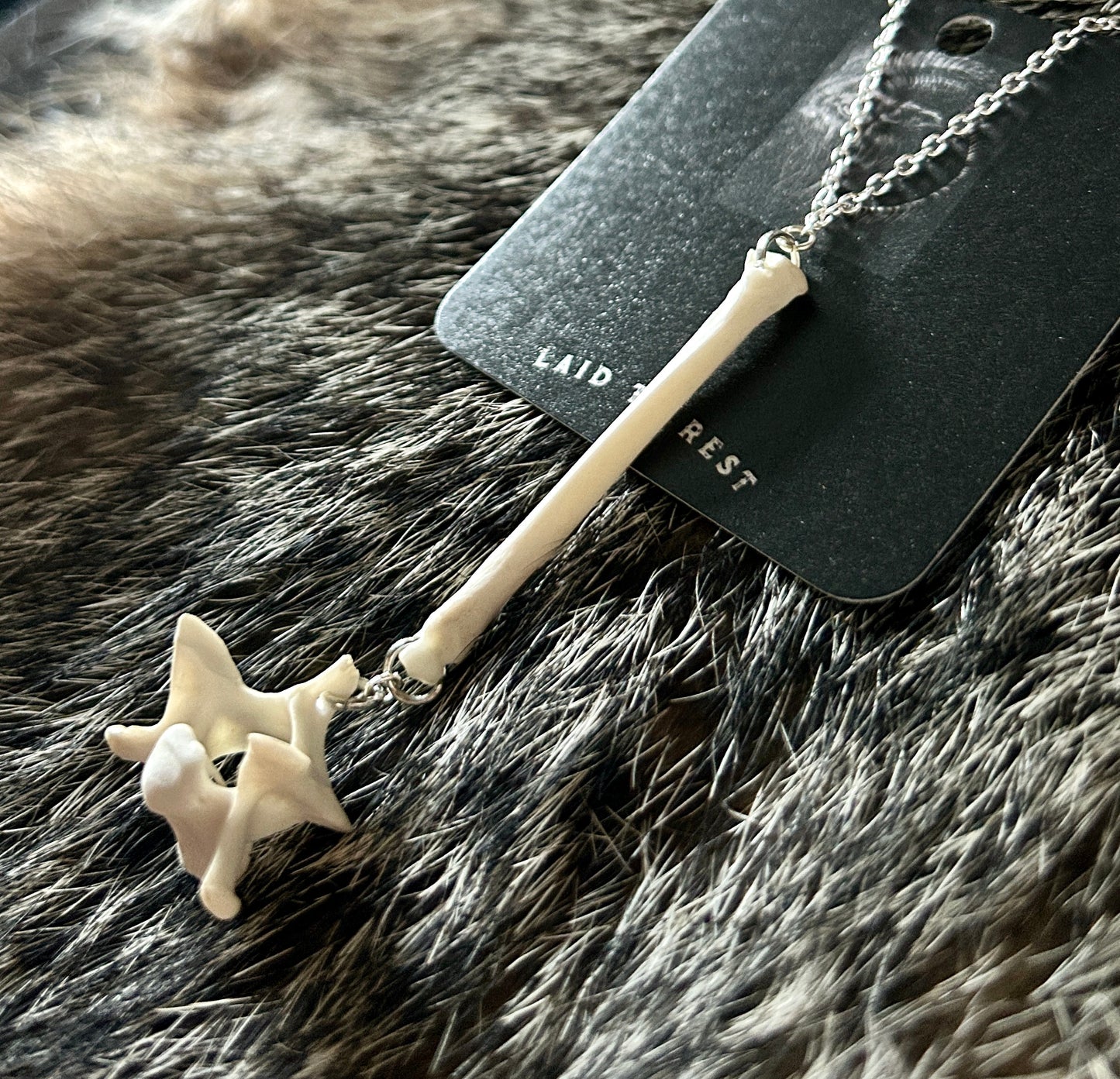 Fox Phalange & Vertebrae Necklace