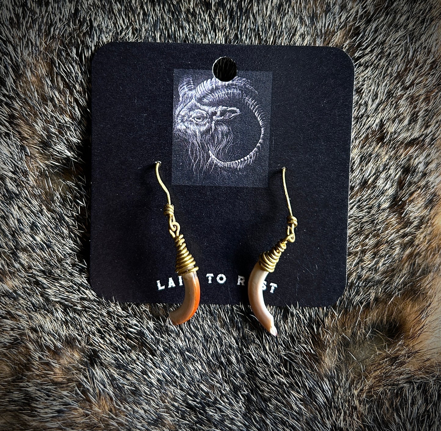 Squirrel Incisor Earrings