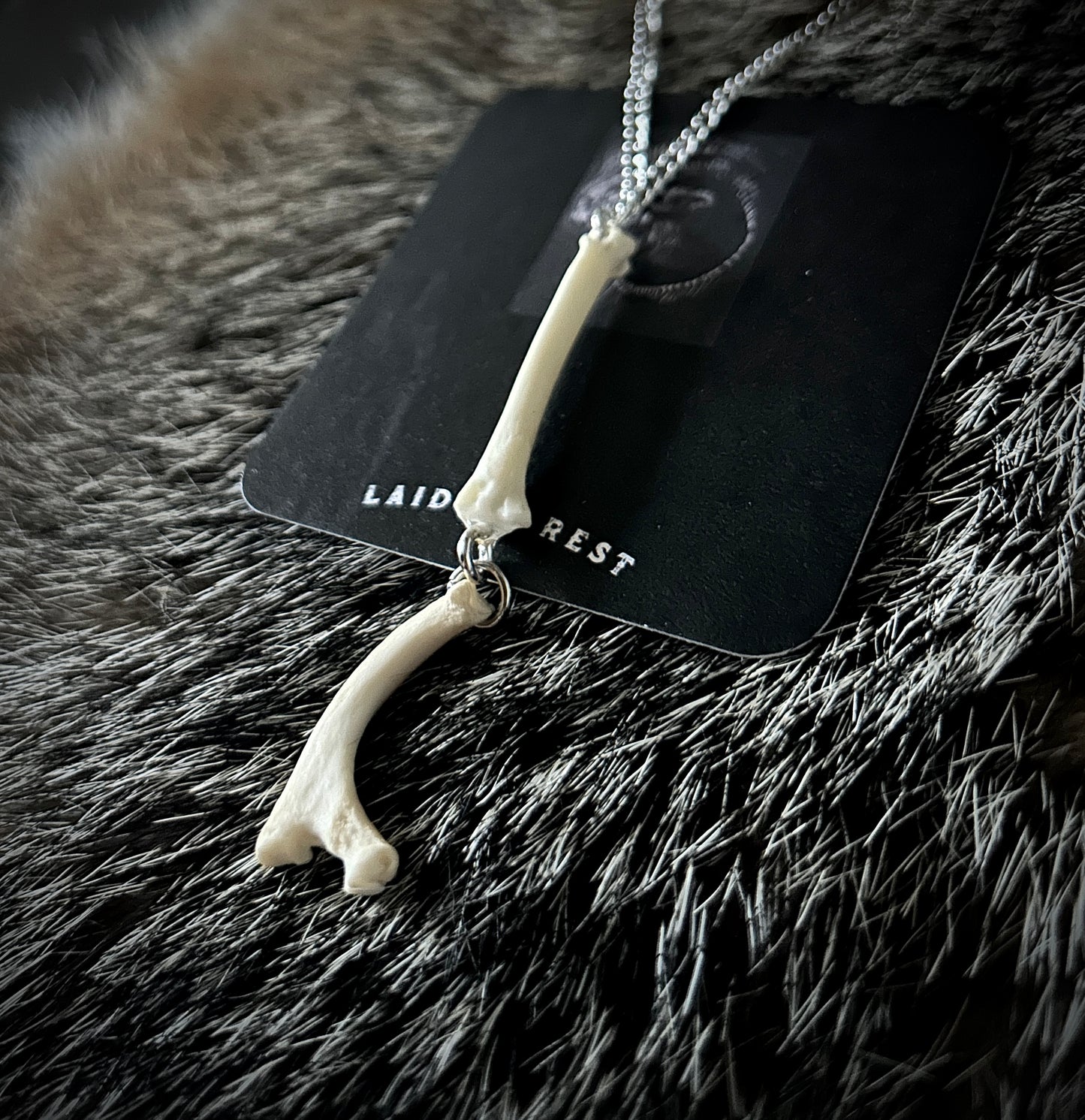 Raccoon Rib & Metacarpal Necklace