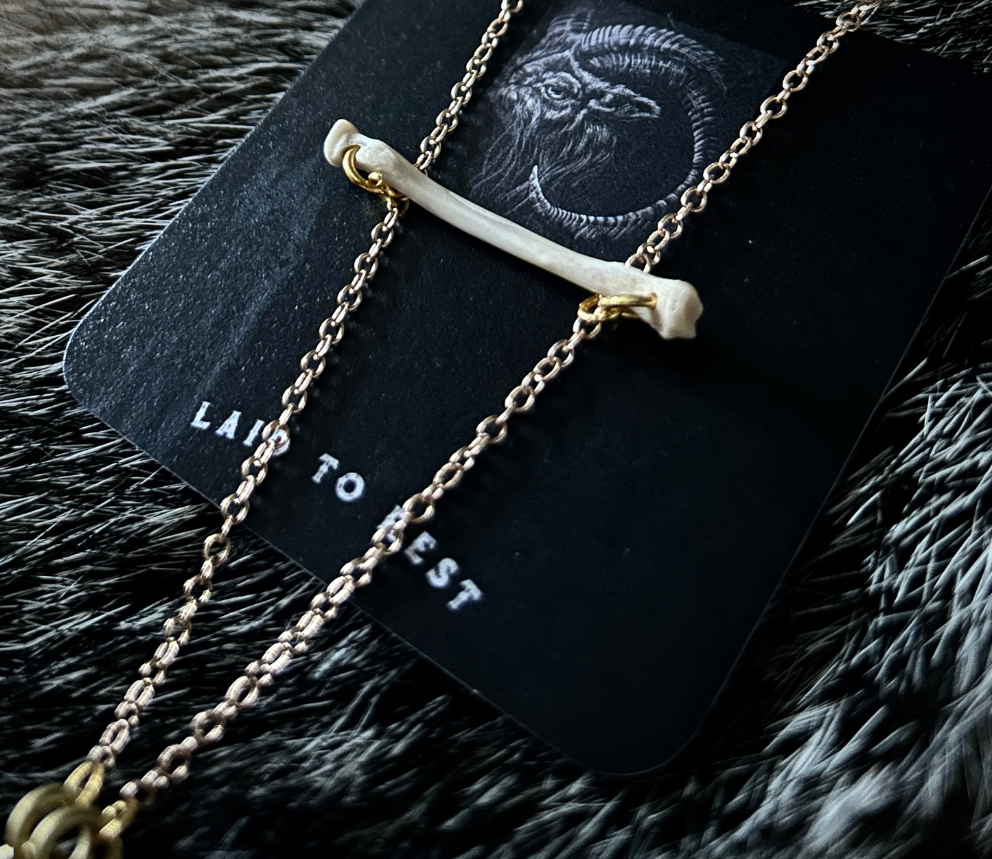 Rat Femur & Radius Bone Necklace