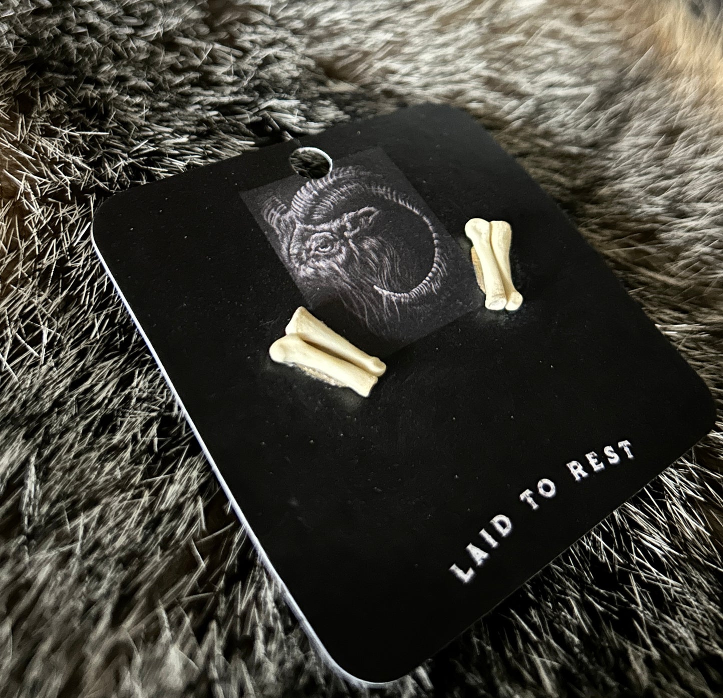 Skunk Phalanges earring studs