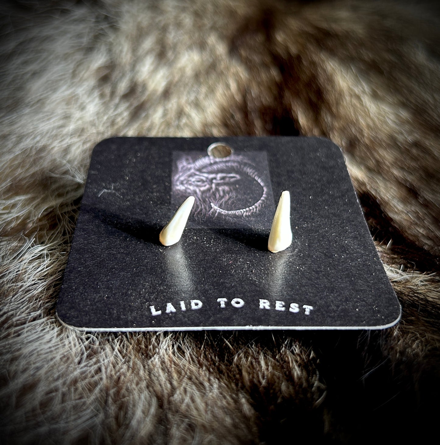 Raccoon Canine Studs - Glow!