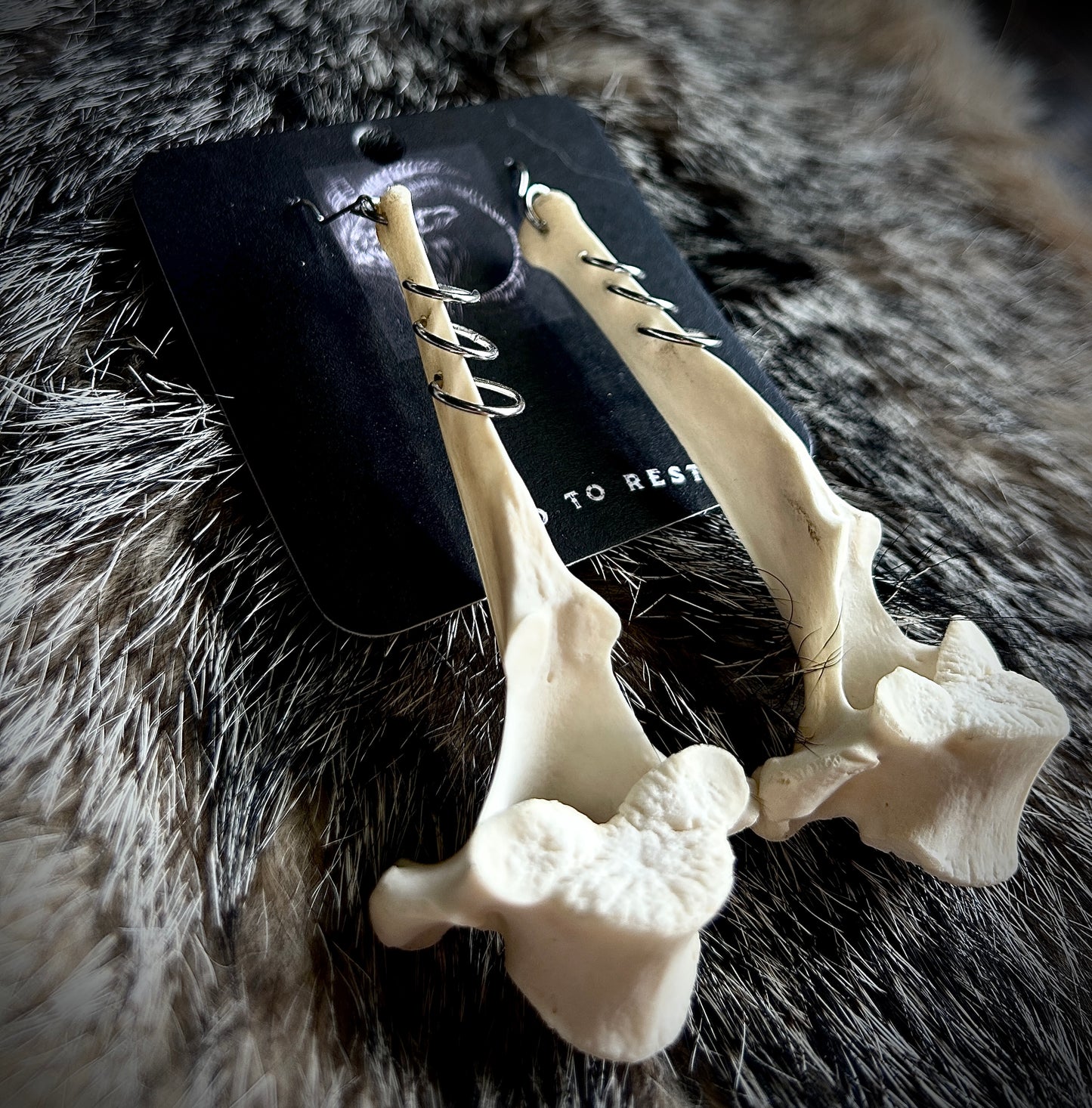 Pierced Vertebrae Earrings
