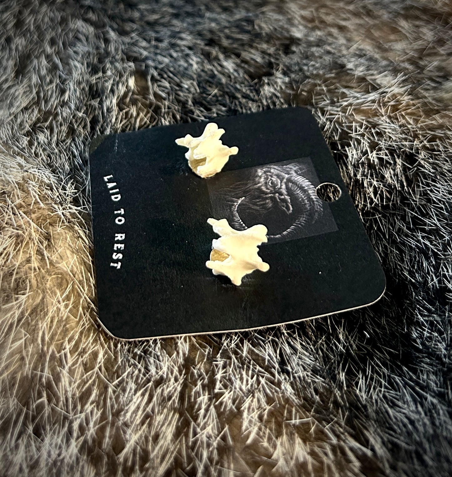 Skunk Vertebrae studs