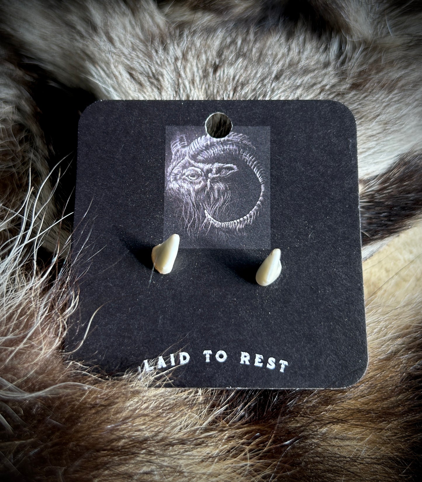 Raccoon Canine Studs - Glow!