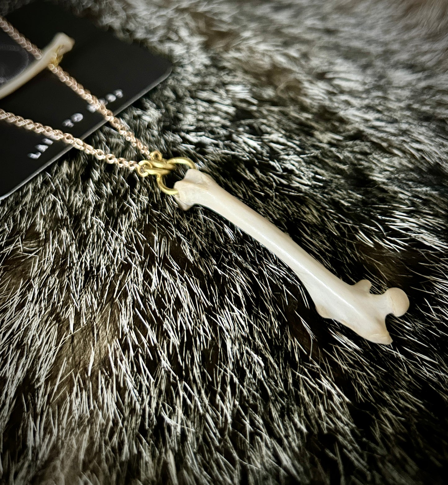 Rat Femur & Radius Bone Necklace