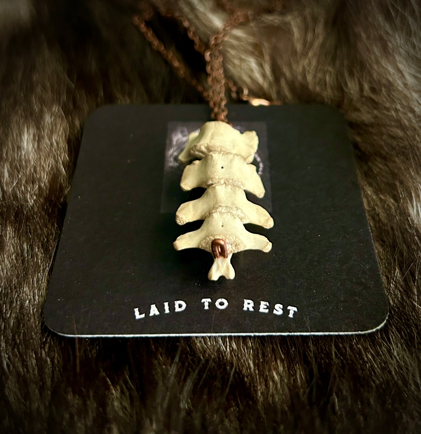 Raccoon Spine Pendant