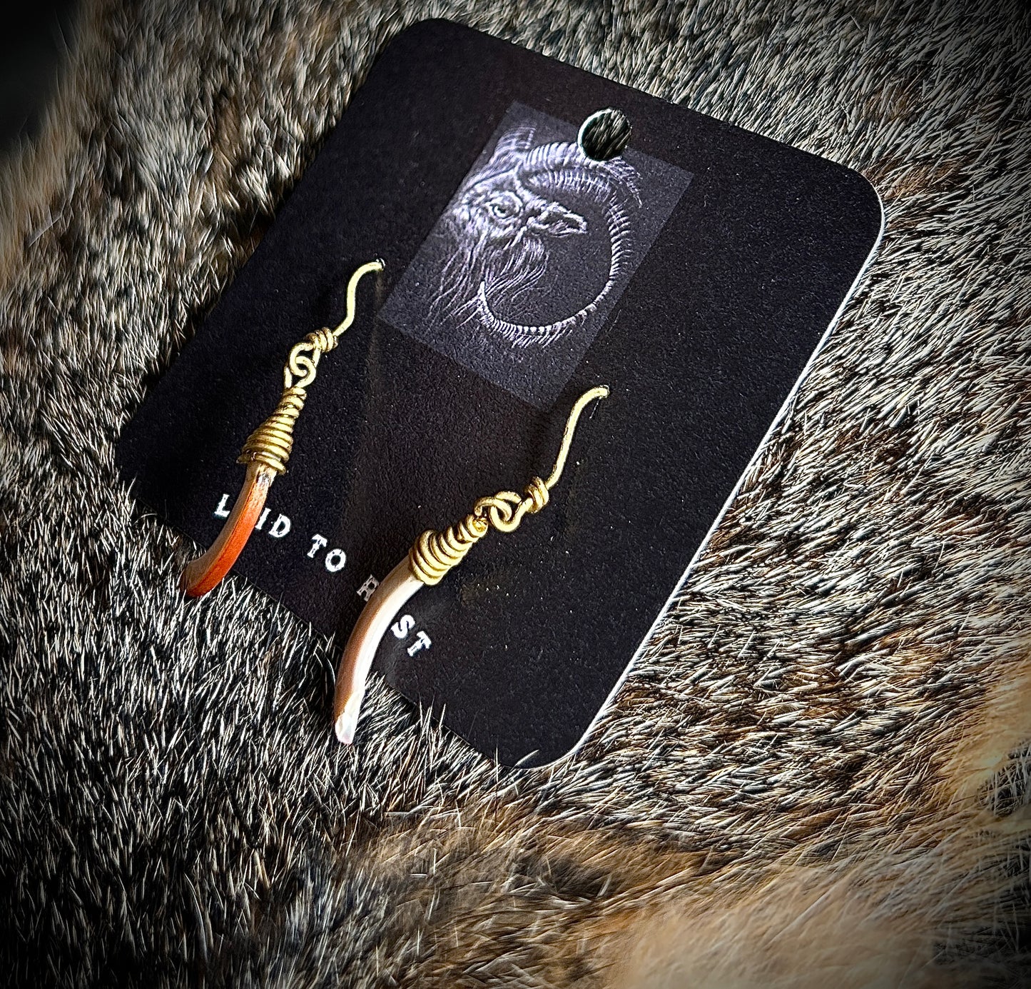 Squirrel Incisor Earrings