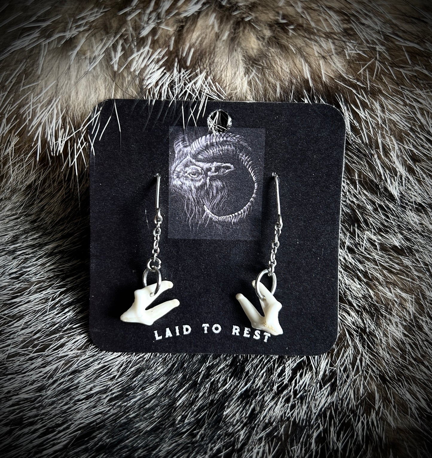 Coyote Molar Earrings
