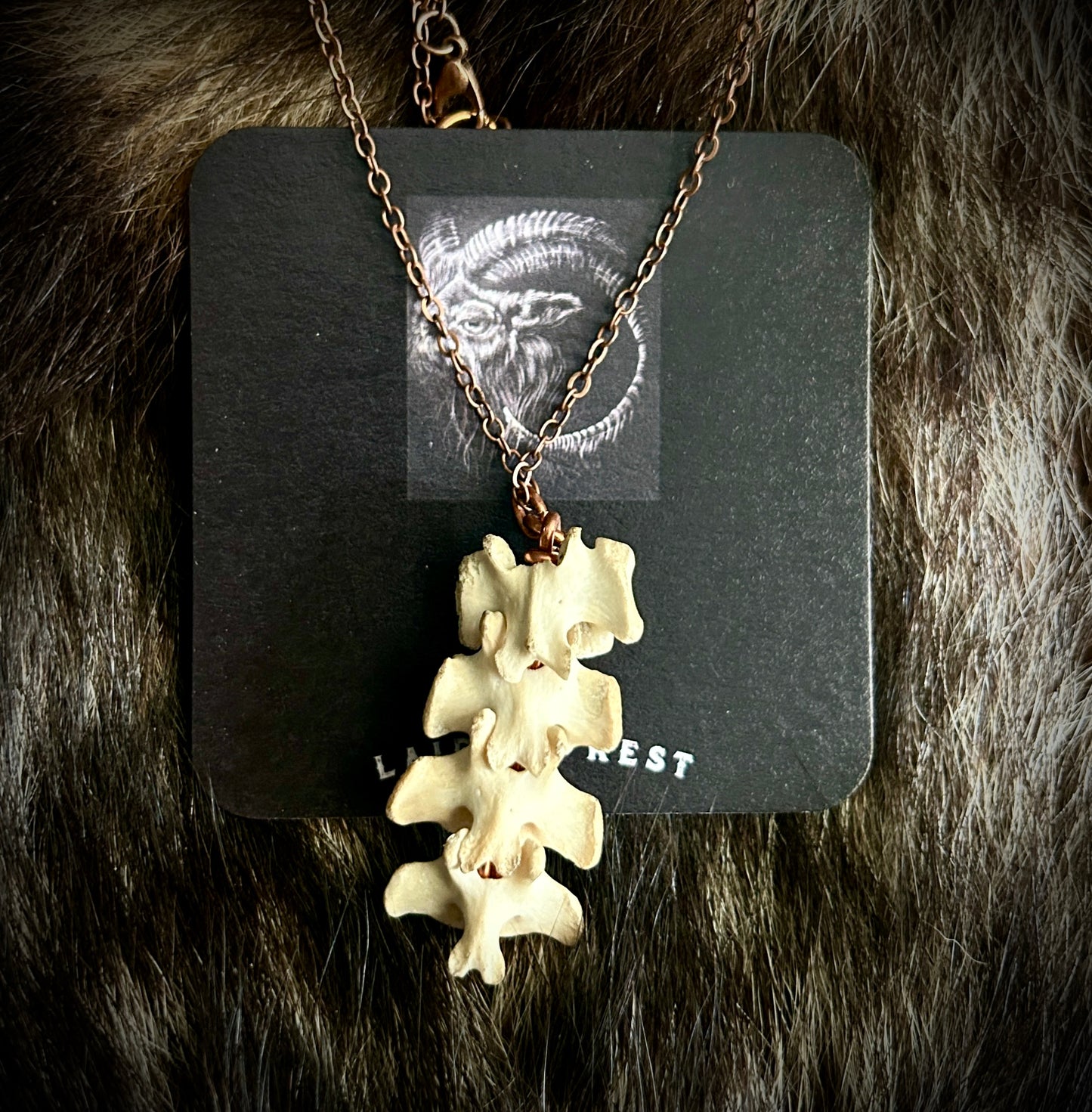 Raccoon Spine Pendant
