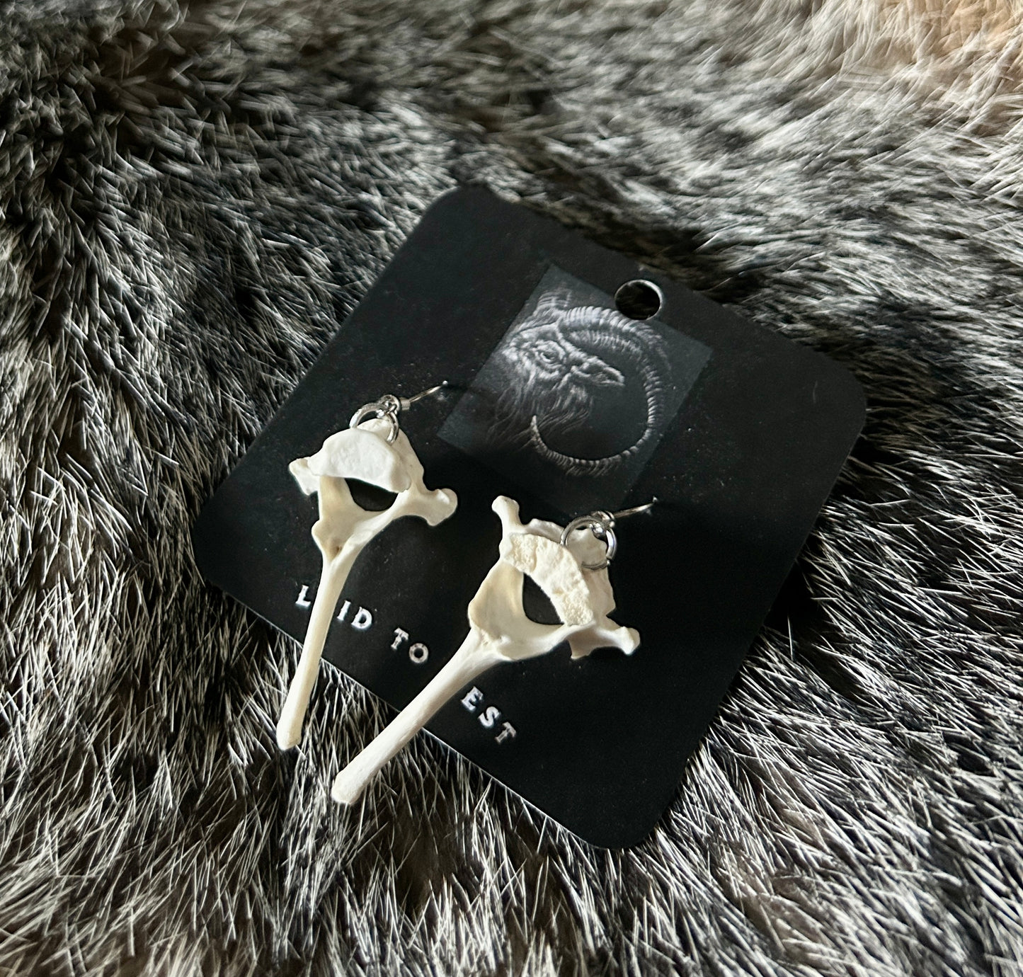 Fox Vertebrae Earrings