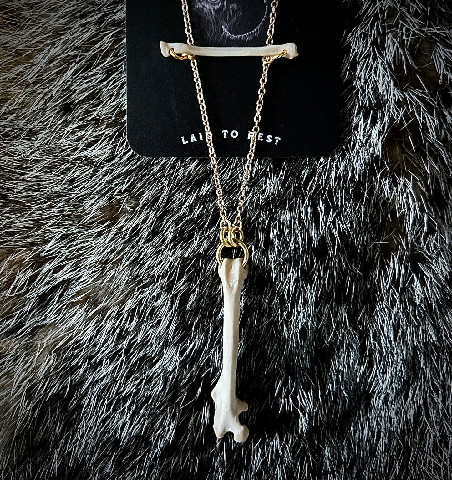 Rat Femur & Radius Bone Necklace