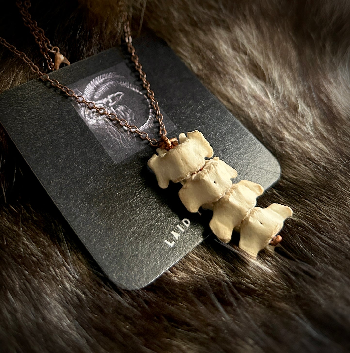 Raccoon Spine Pendant