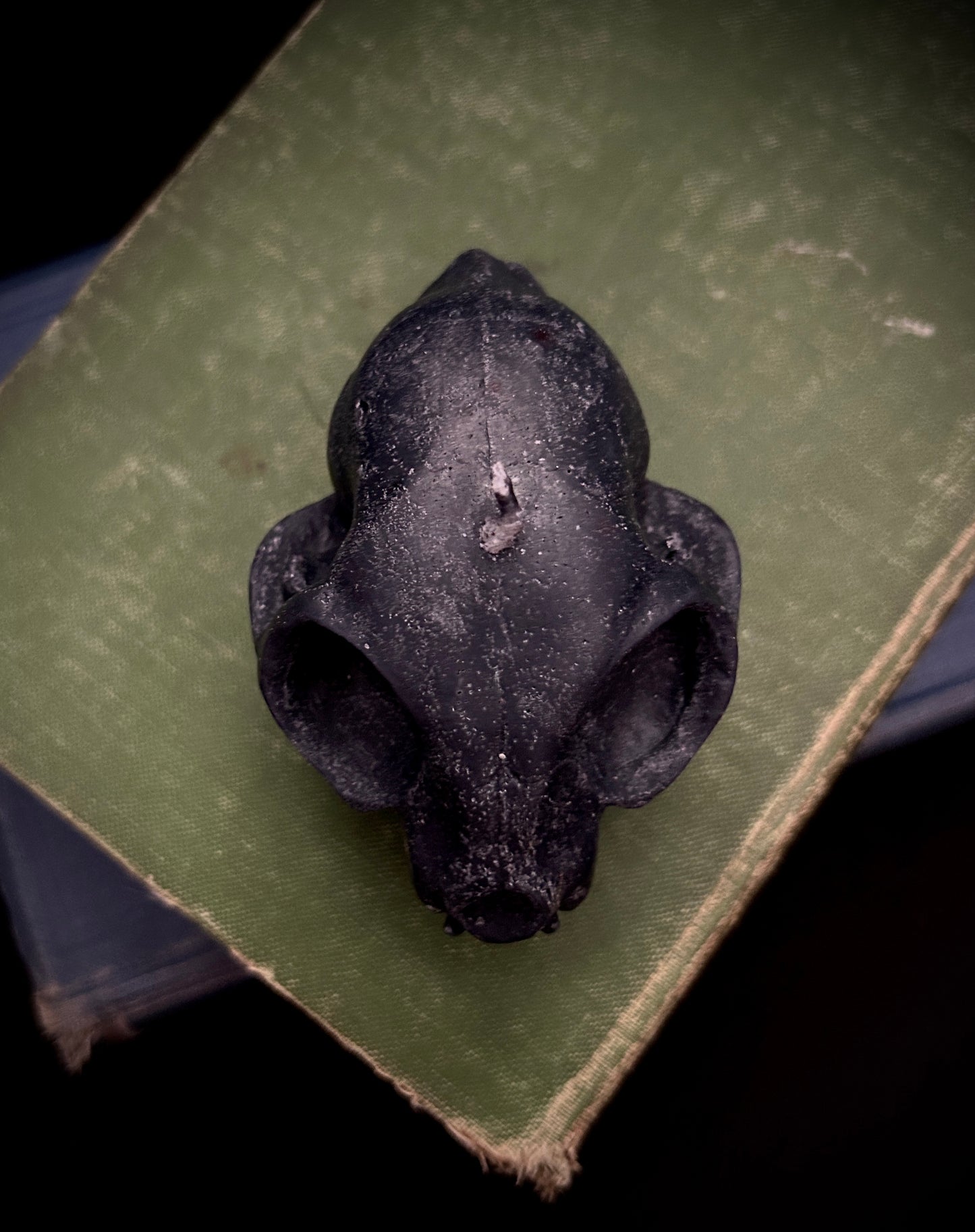 Black Cat Candle