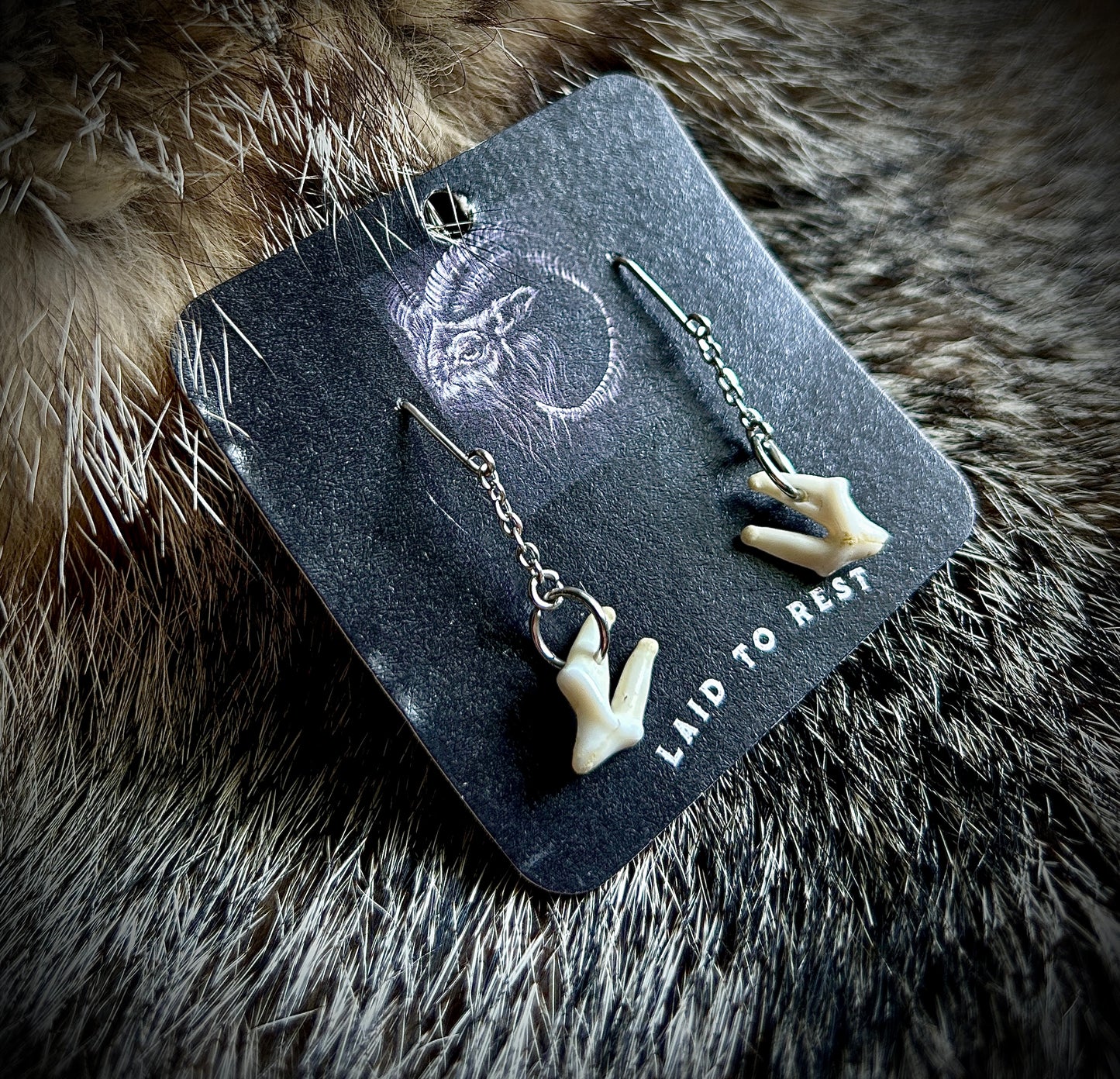 Coyote Molar Earrings