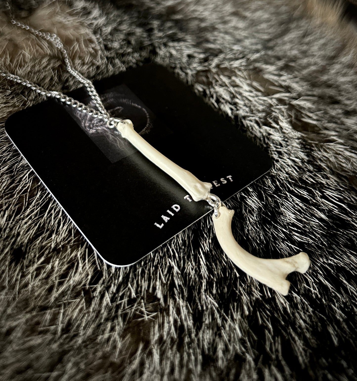 Raccoon Rib & Metacarpal Necklace