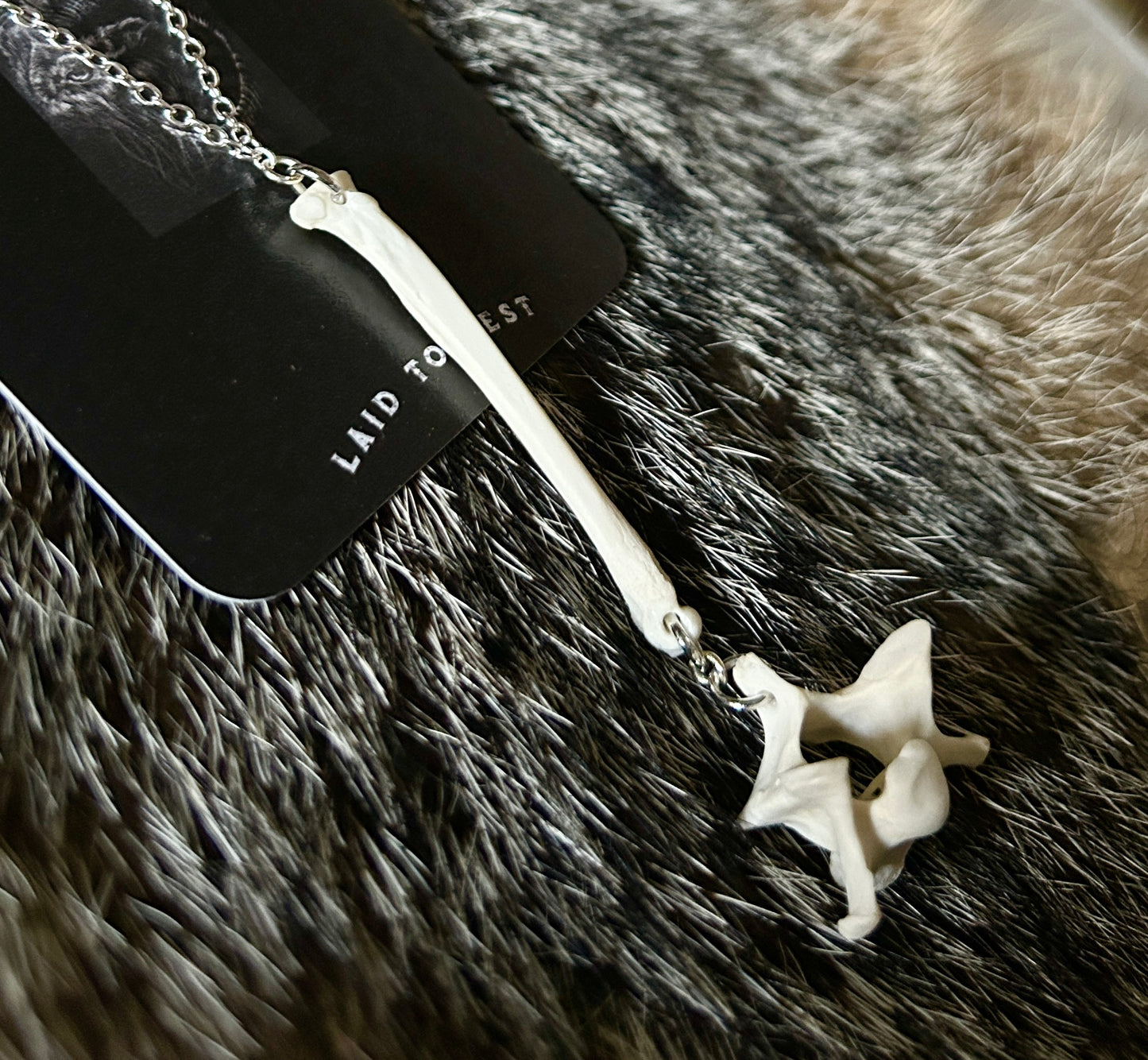 Fox Phalange & Vertebrae Necklace