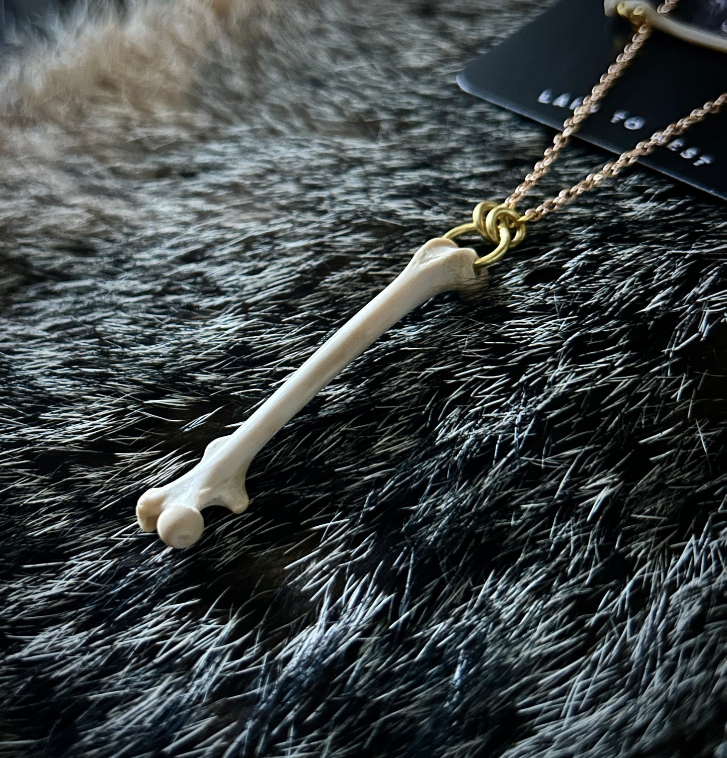 Rat Femur & Radius Bone Necklace