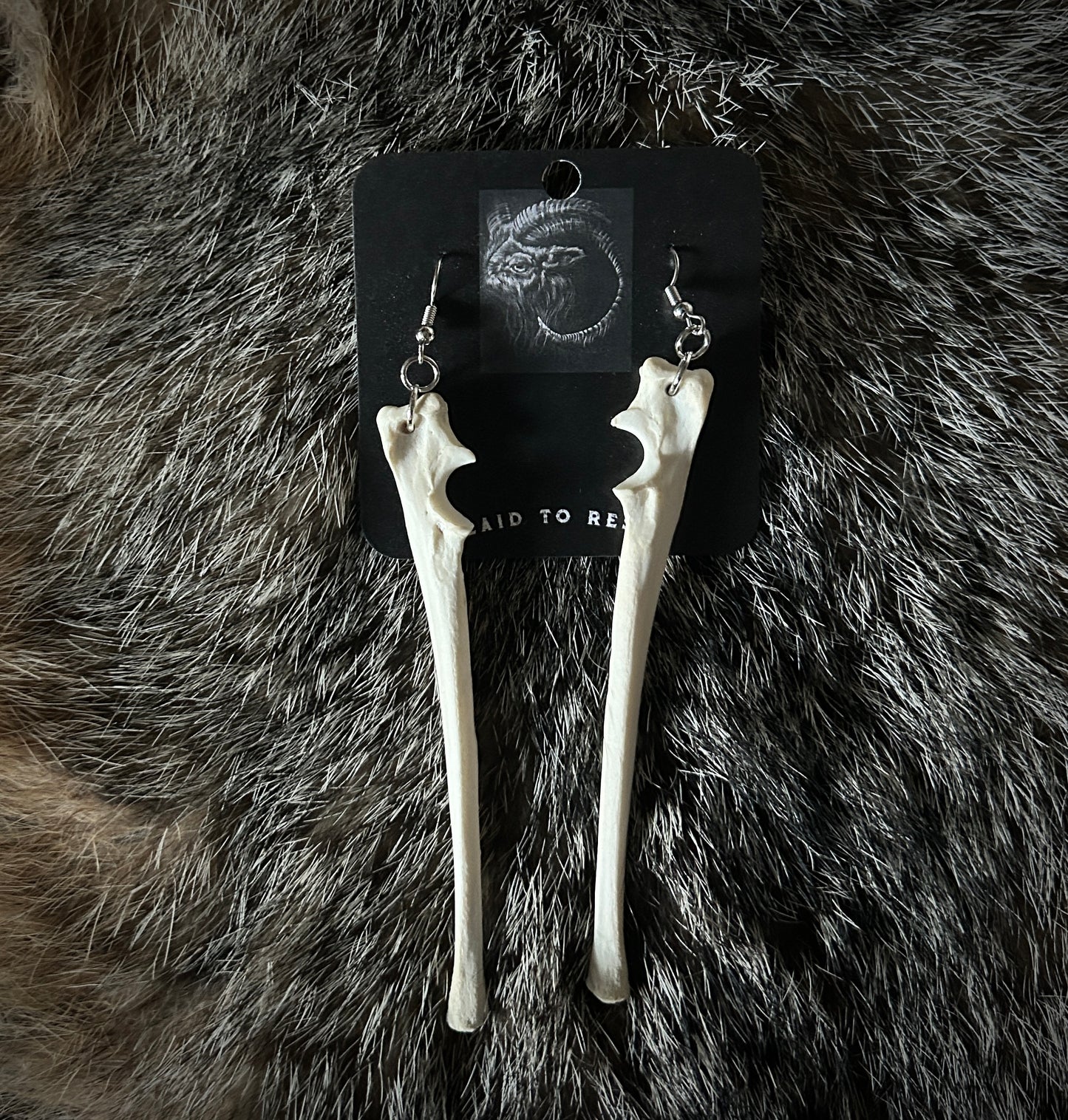 Fox Ulna Earrings