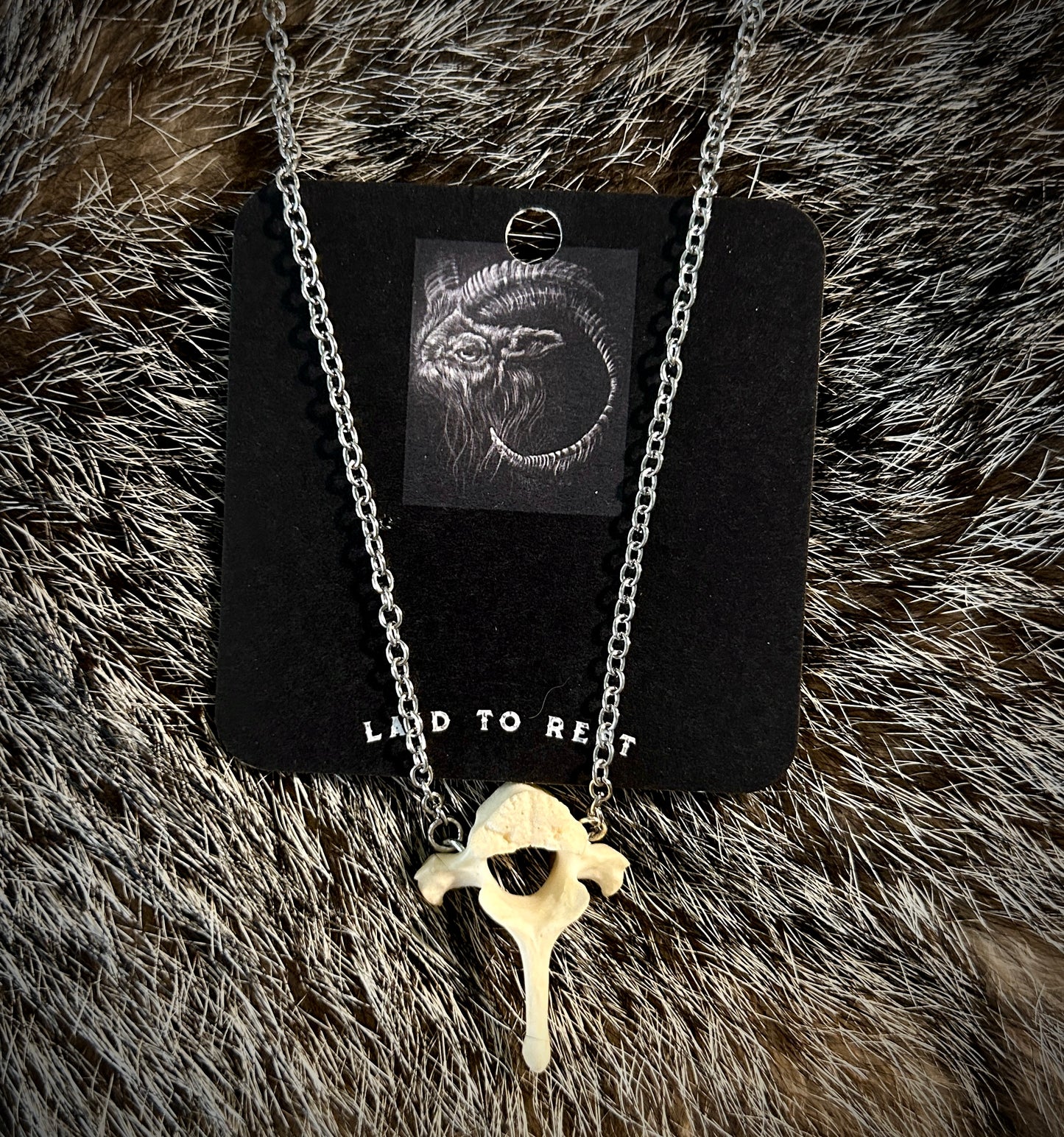 Raccoon Vertebrae necklace
