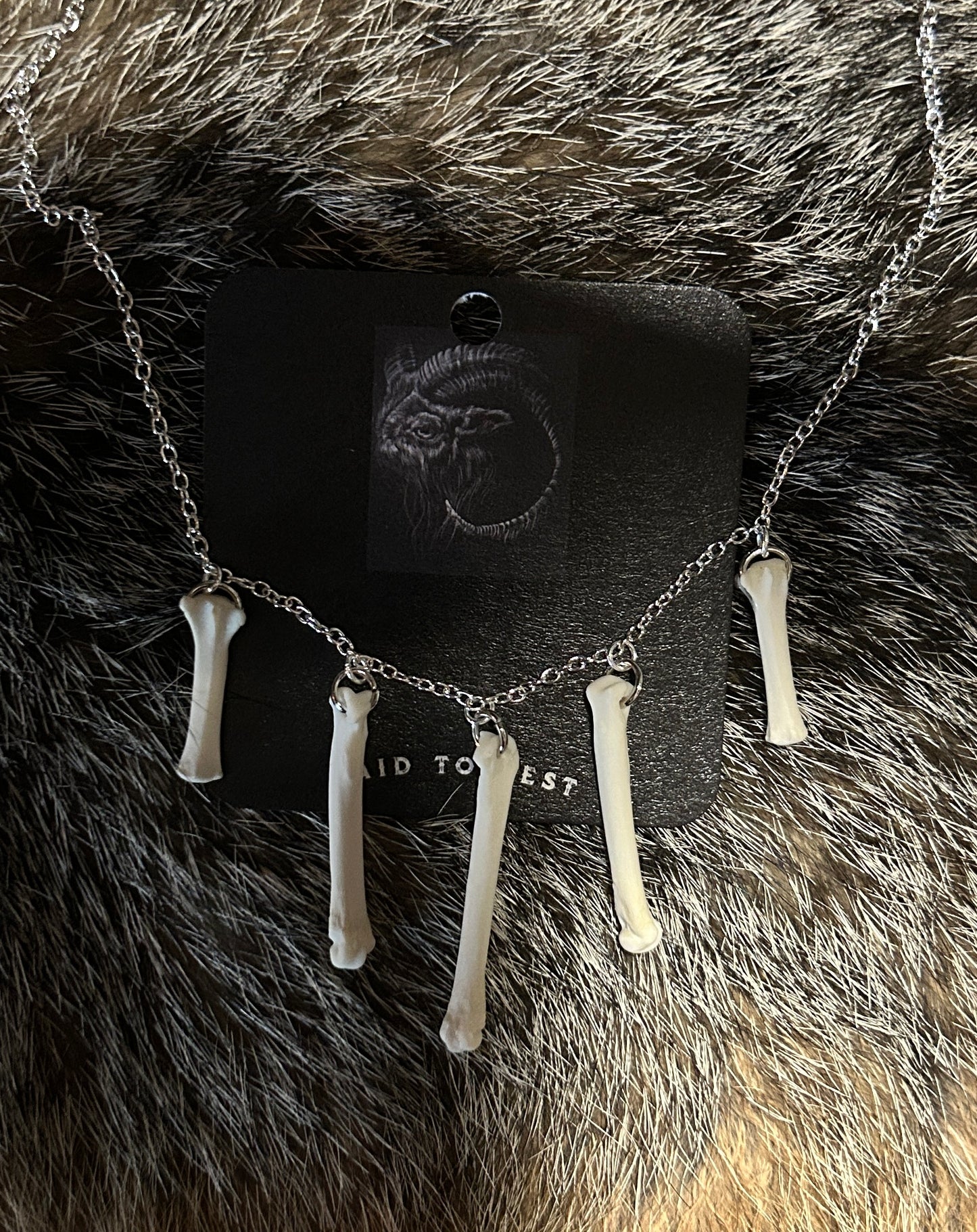 Fox Phalanges & Tail bones Necklace