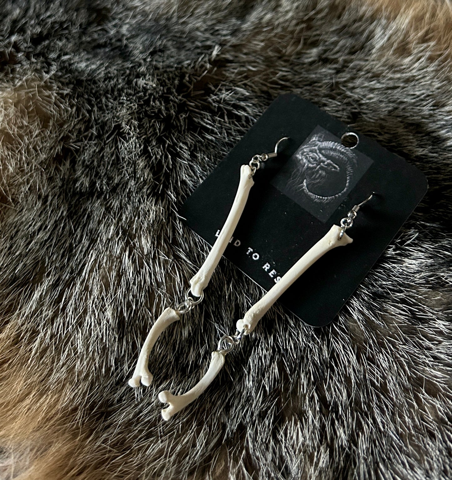 Fox Phalanges & Ribs Earrings