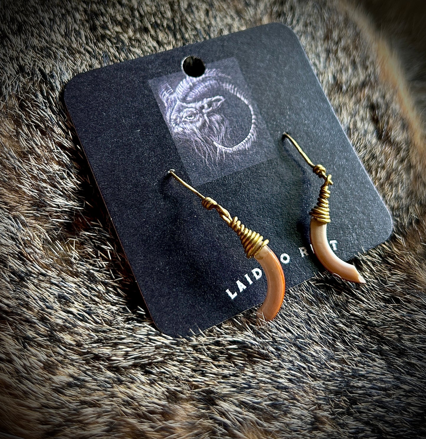 Squirrel Incisor Earrings