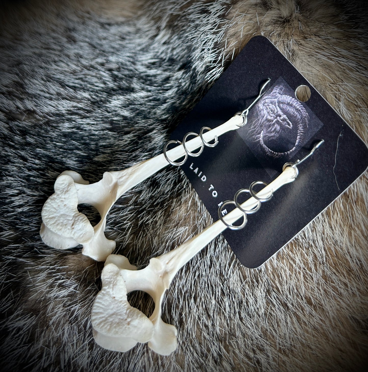 Pierced Vertebrae Earrings