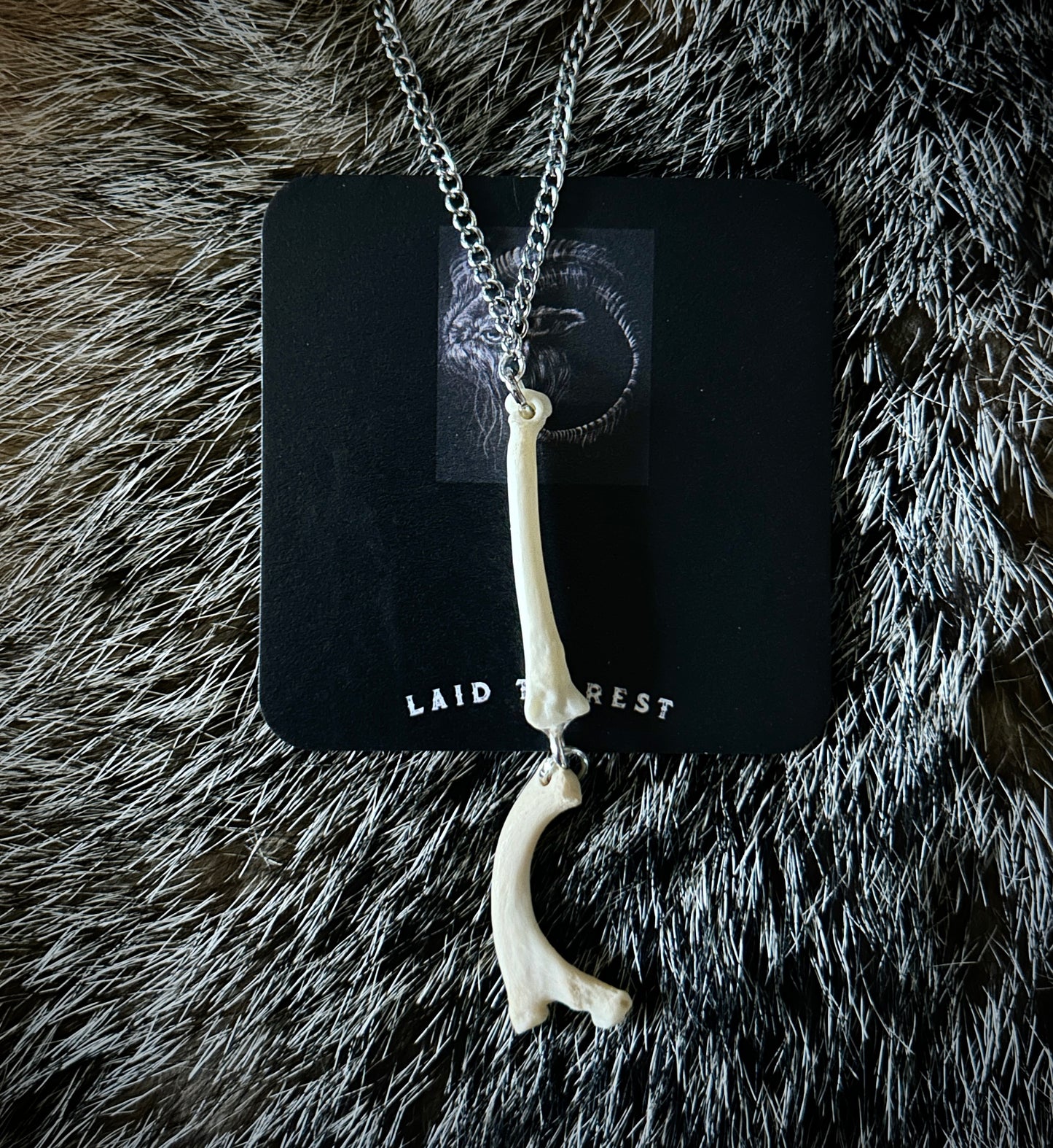 Raccoon Rib & Metacarpal Necklace