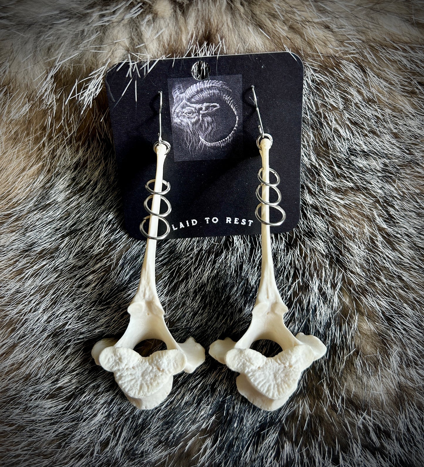 Pierced Vertebrae Earrings