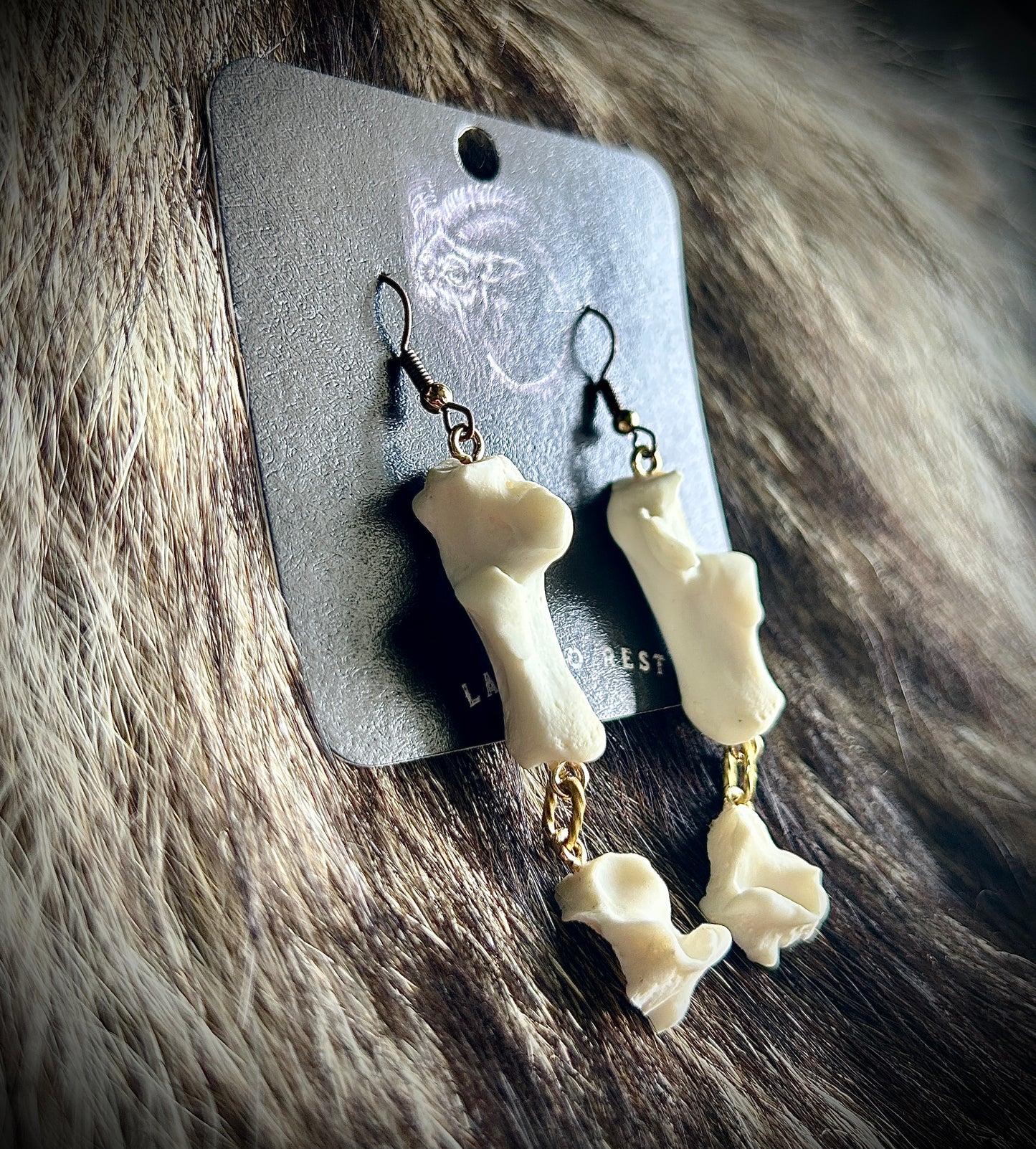 Raccoon Heel Bones