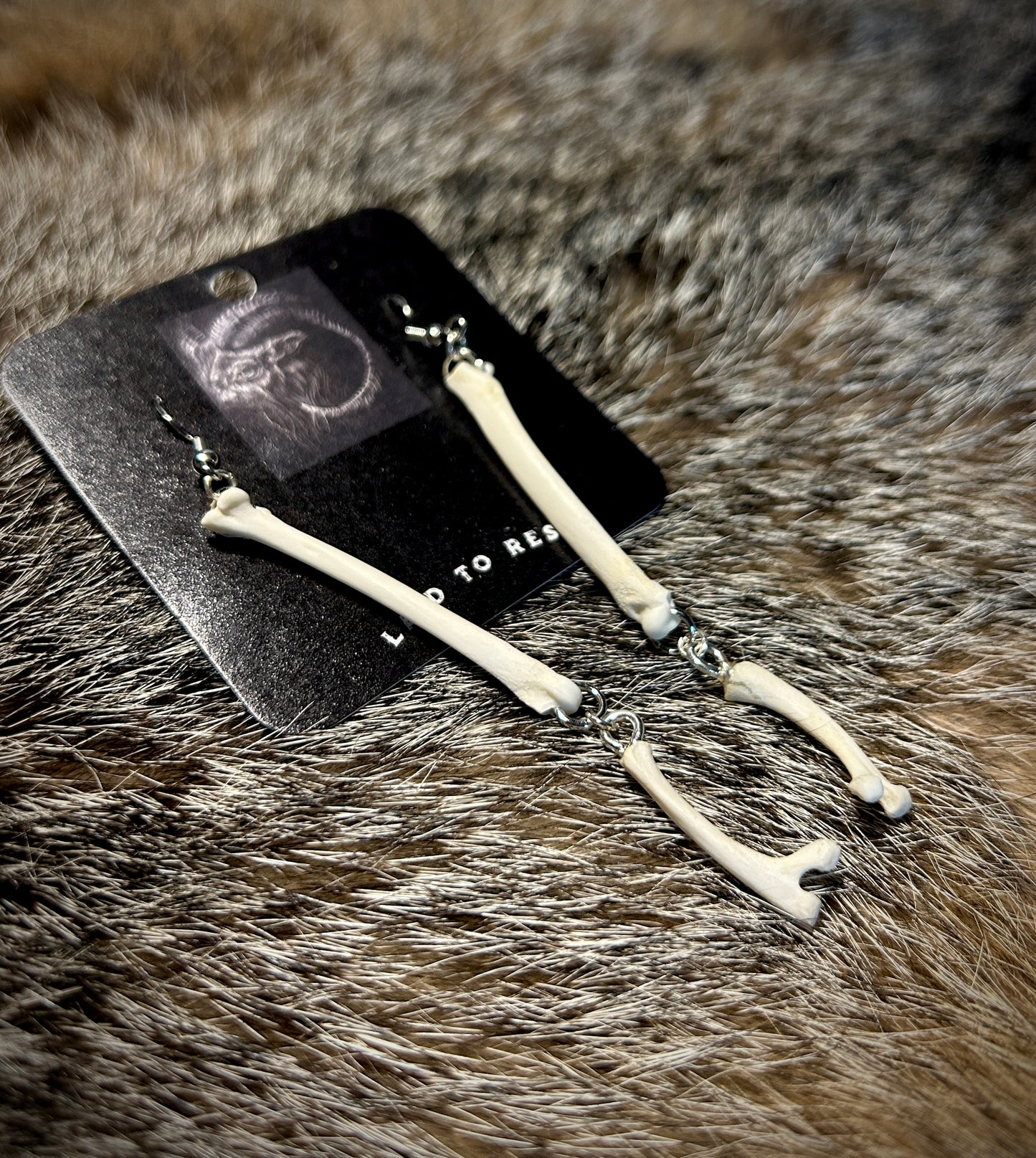 Fox Phalanges & Ribs Earrings