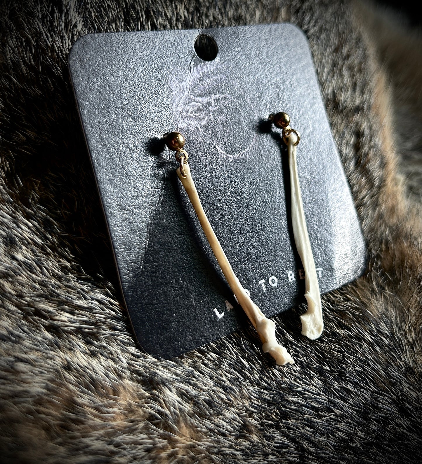 Squirrel Ulna Studs