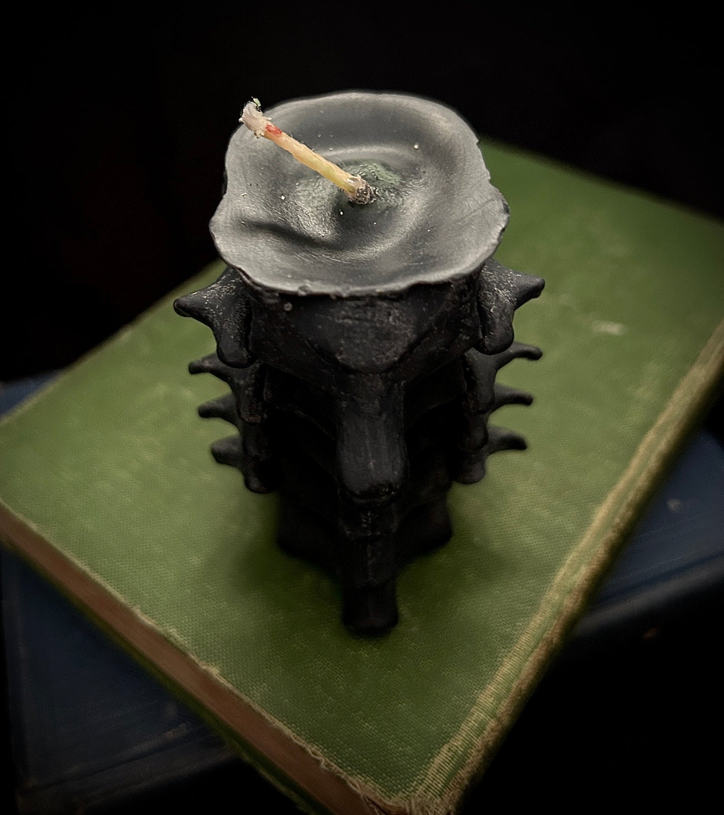 Black Spine Candle - Pine Scented