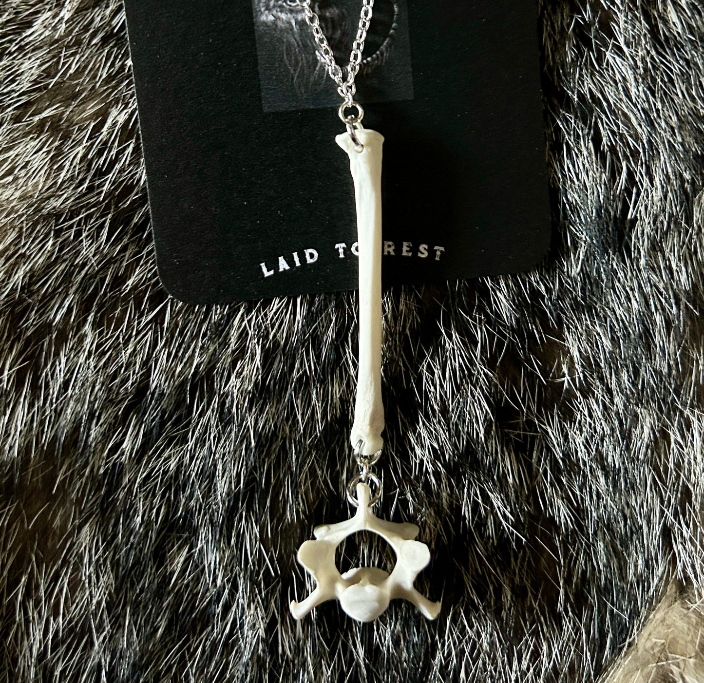 Fox Phalange & Vertebrae Necklace