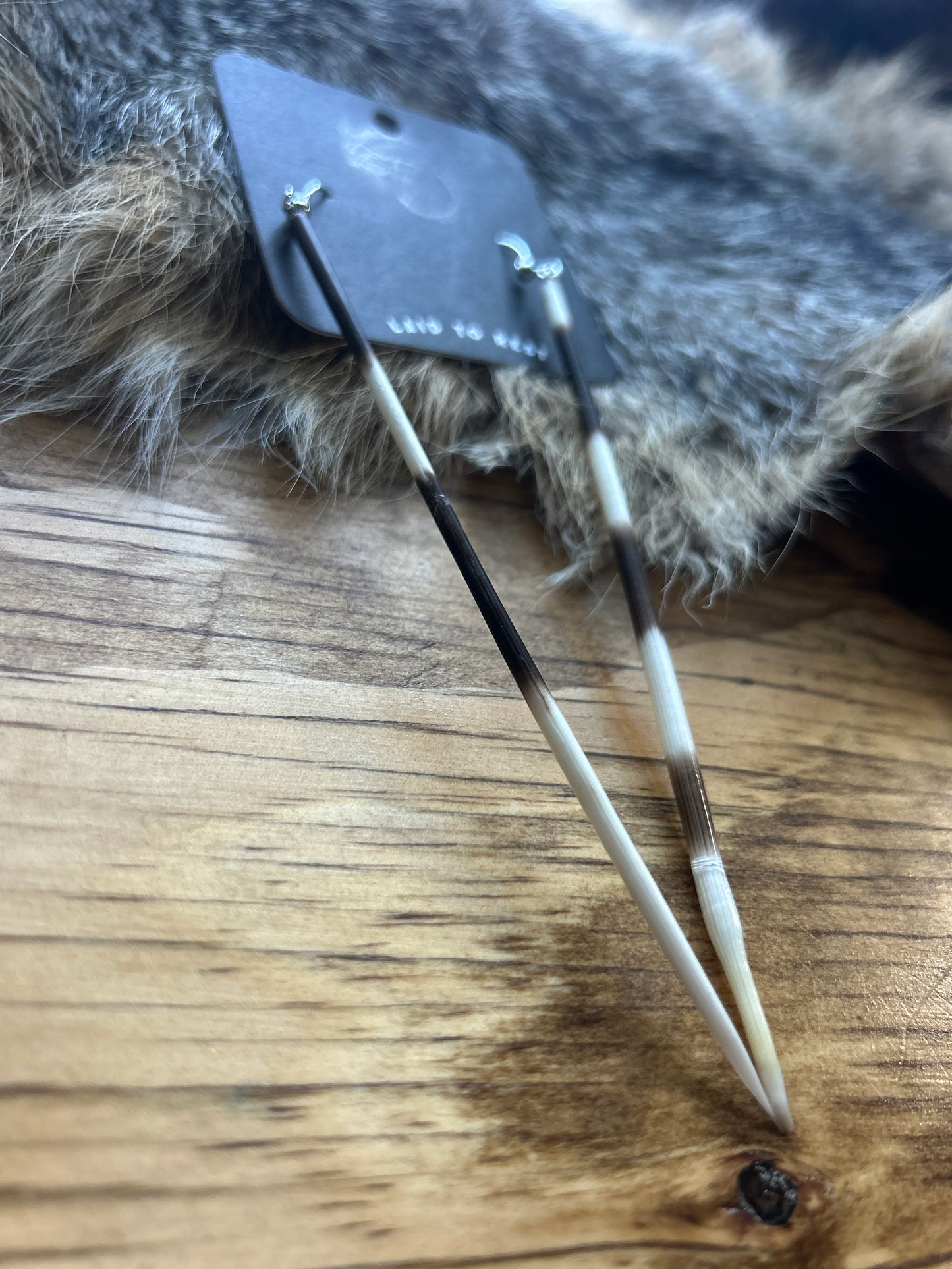 Porcupine Quill Earrings