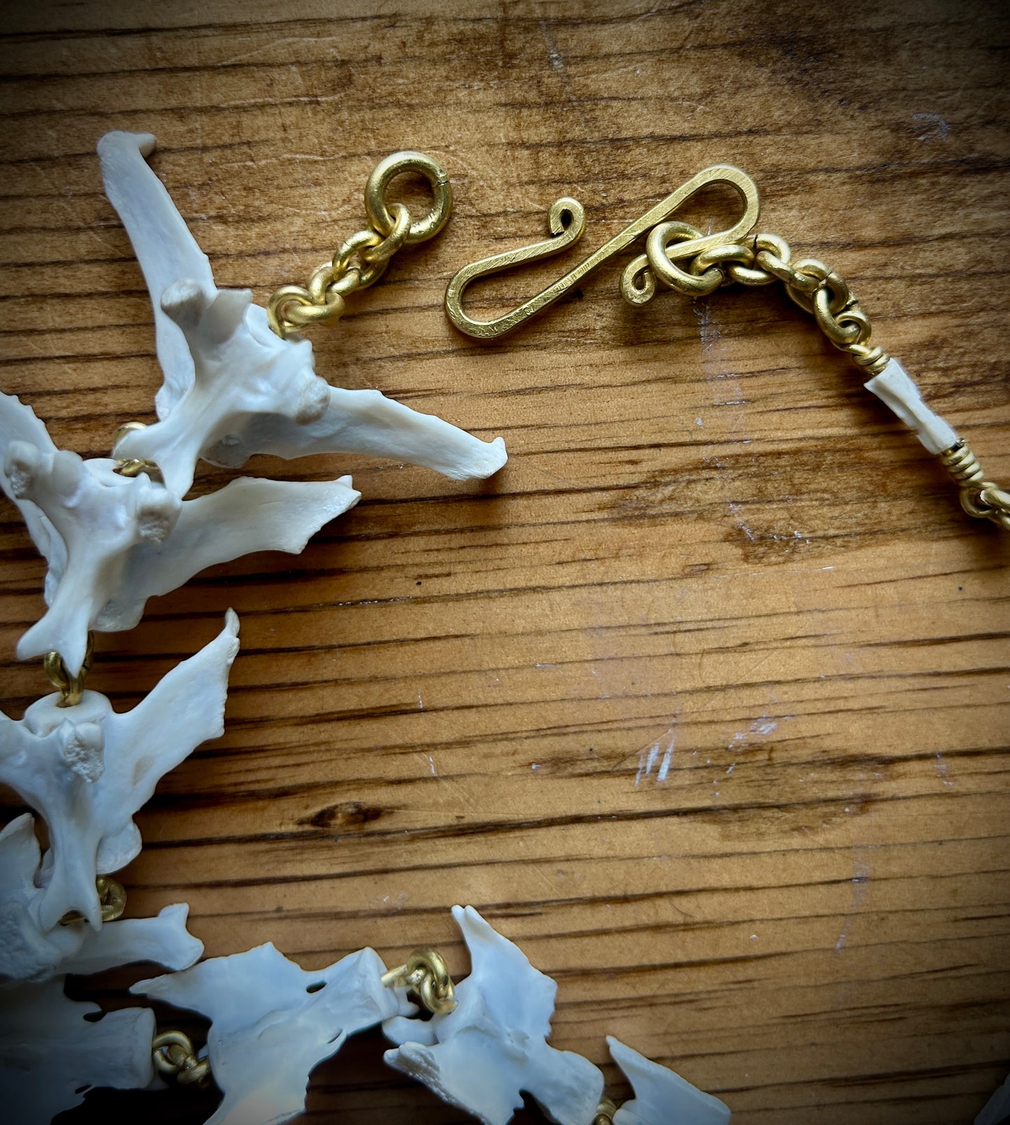 Armadillo Tail necklace