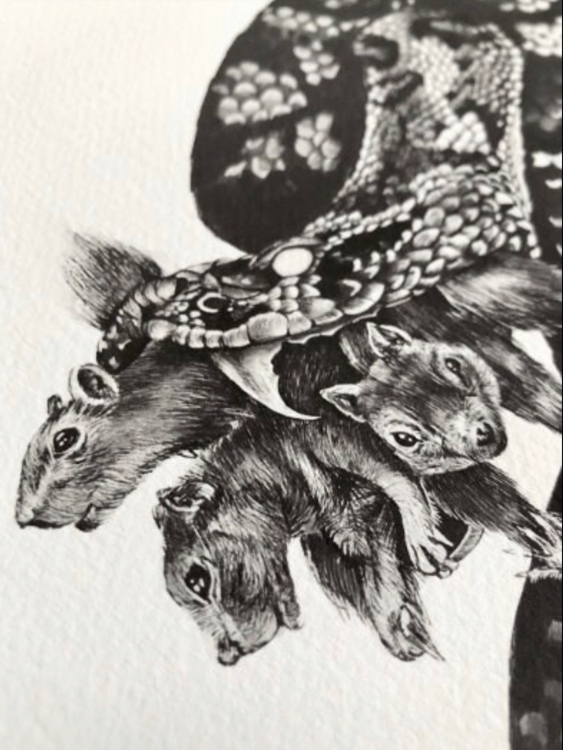 Escaping the Natural Order