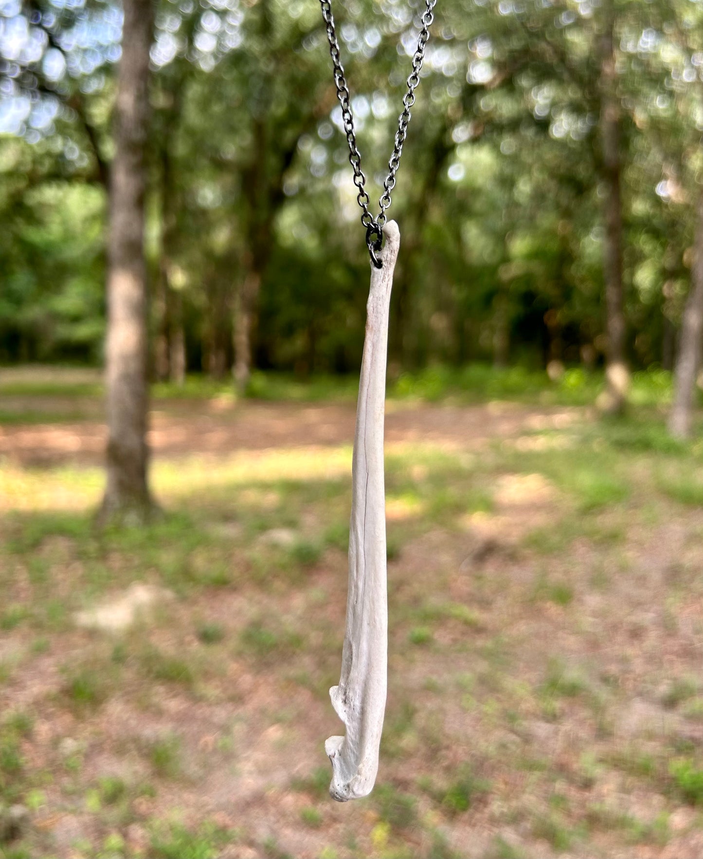 Natural Bone Necklace