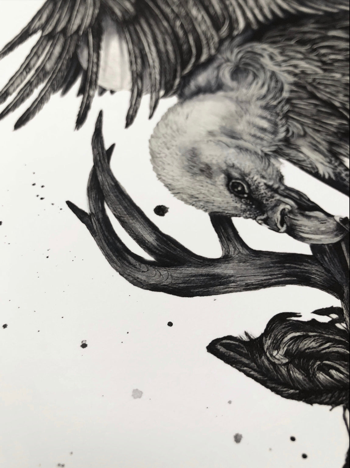 Scavenger