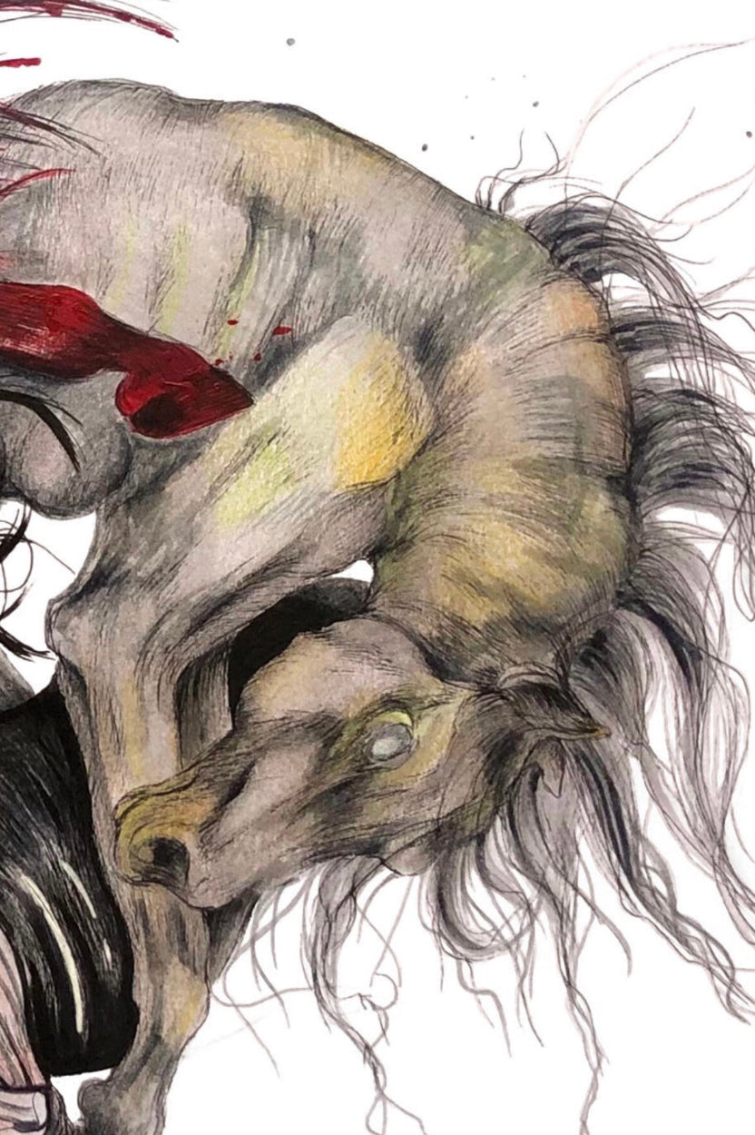 The Four Horses