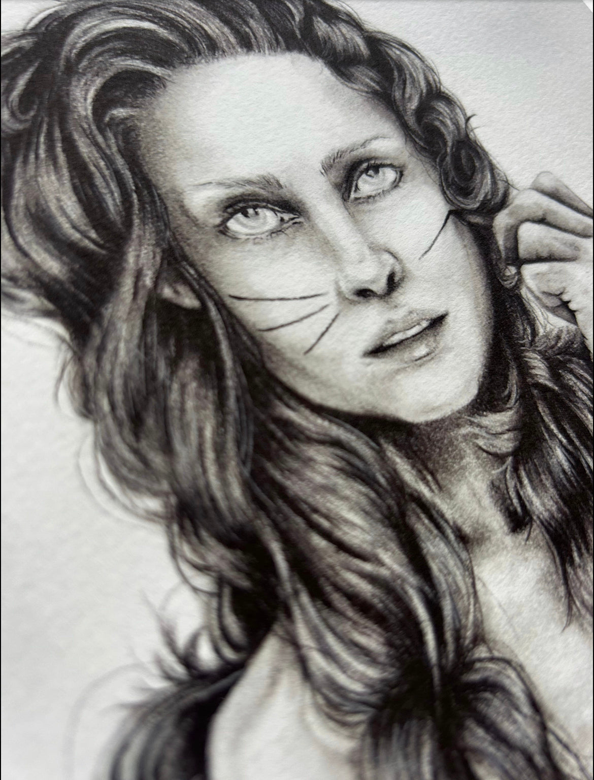 Wildcat