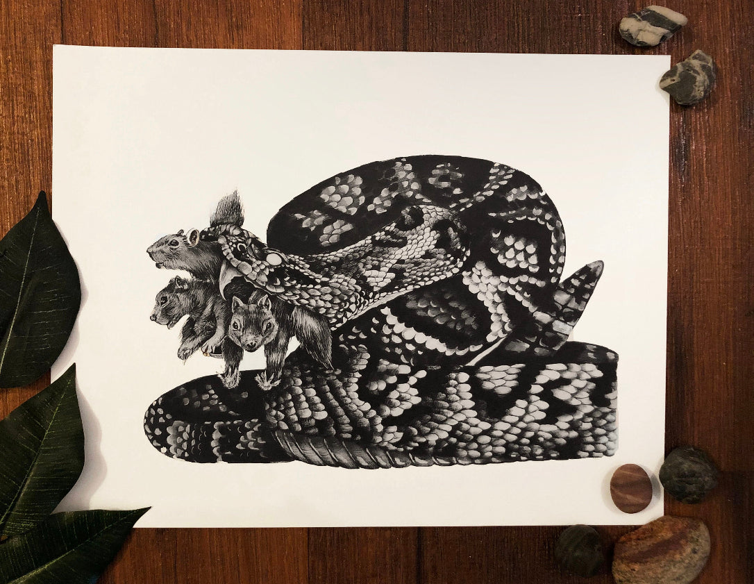 Escaping the Natural Order II
