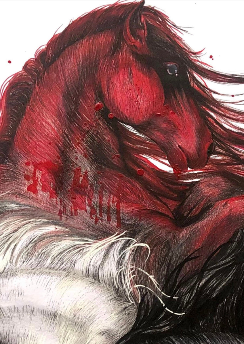 The Four Horses