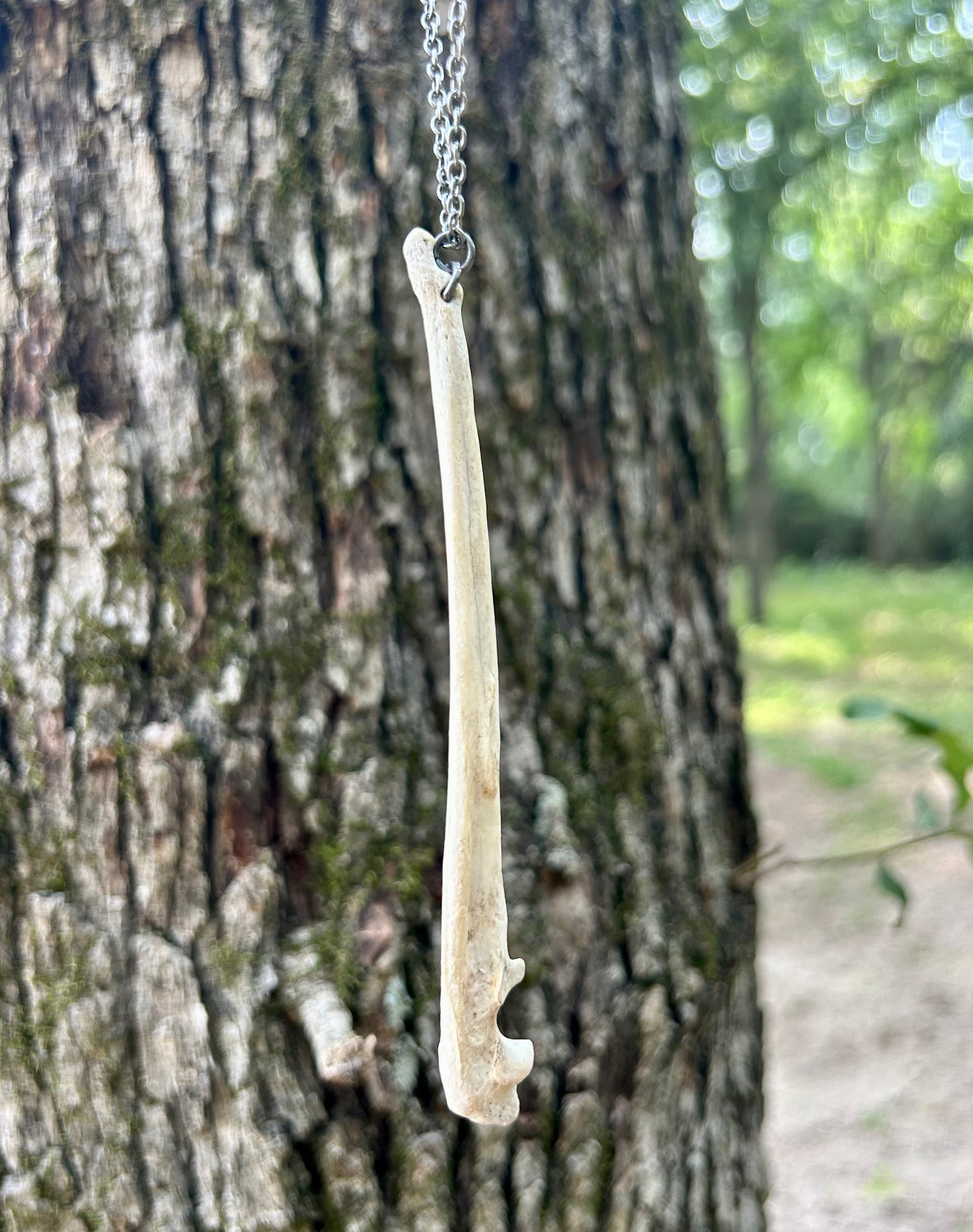 Natural Bone Necklace