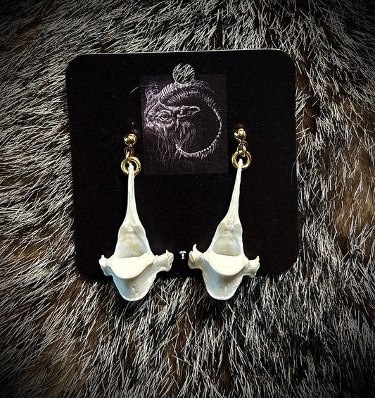 Fox Vertebrae Studs